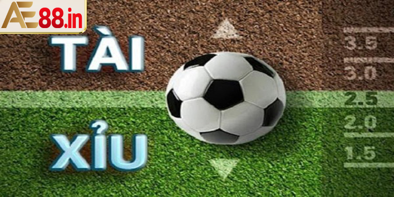 Những loại kèo tài xỉu trong bóng đá mà bạn nên biết